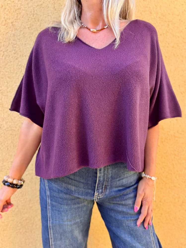 Pull loose Fabrizio aubergine