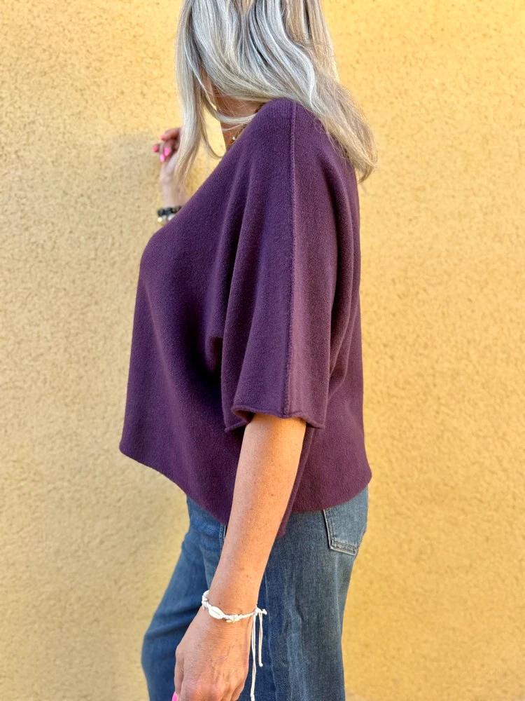 Pull loose Fabrizio aubergine