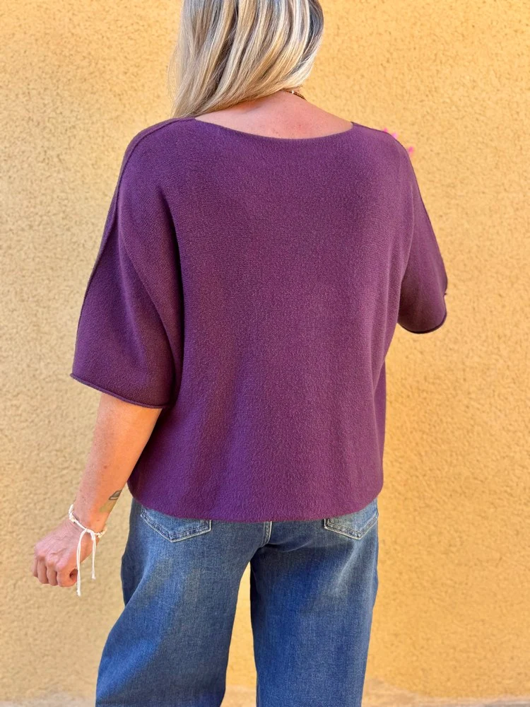 Pull loose Fabrizio aubergine