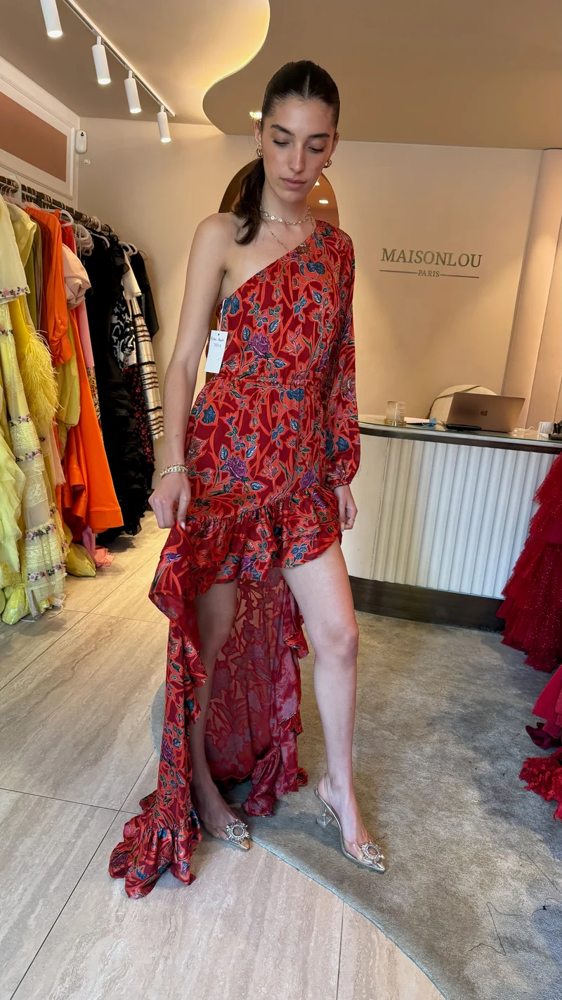 Robe Geko