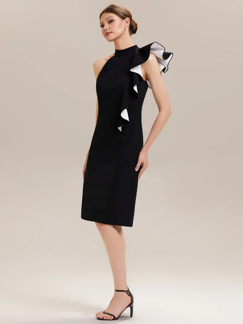 ever OBSIDIAN|Robe moulante à encolure col haut asymétrique à volants contrastés longueur genou en tissu extensible