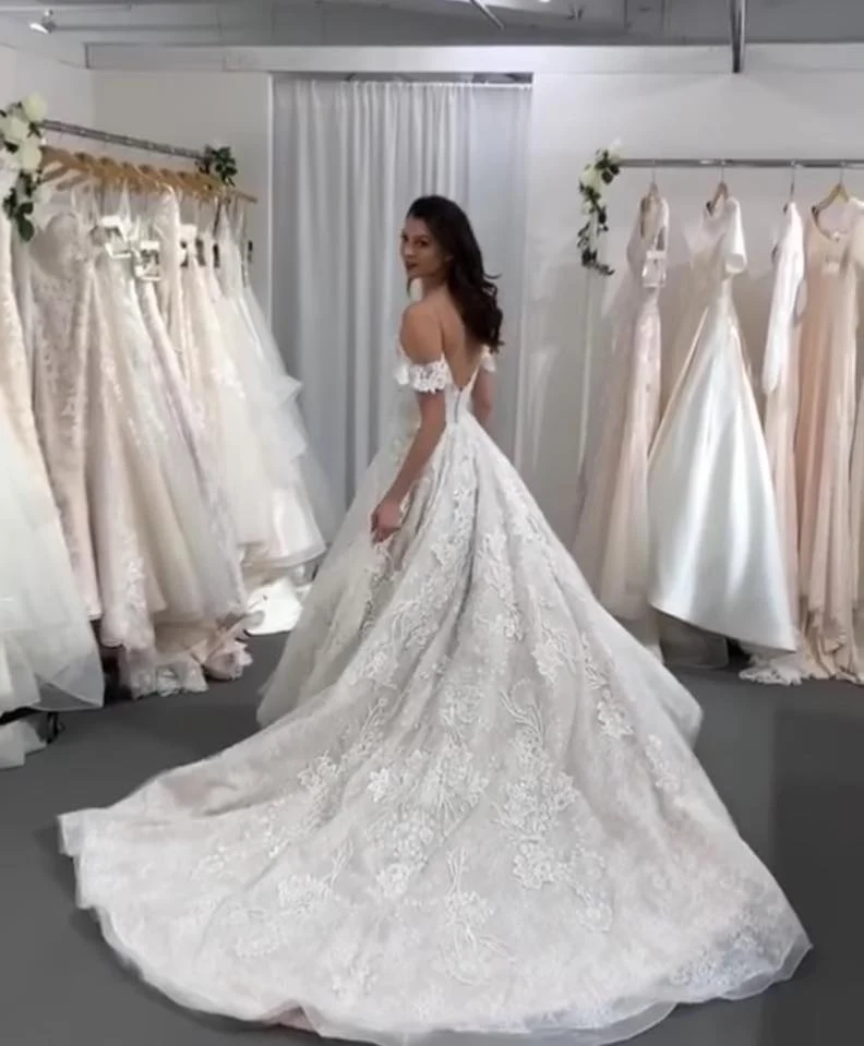 Robe de mariée élégante en tulle et dentelle, coupe trapèze, bretelles spaghetti, dos nu