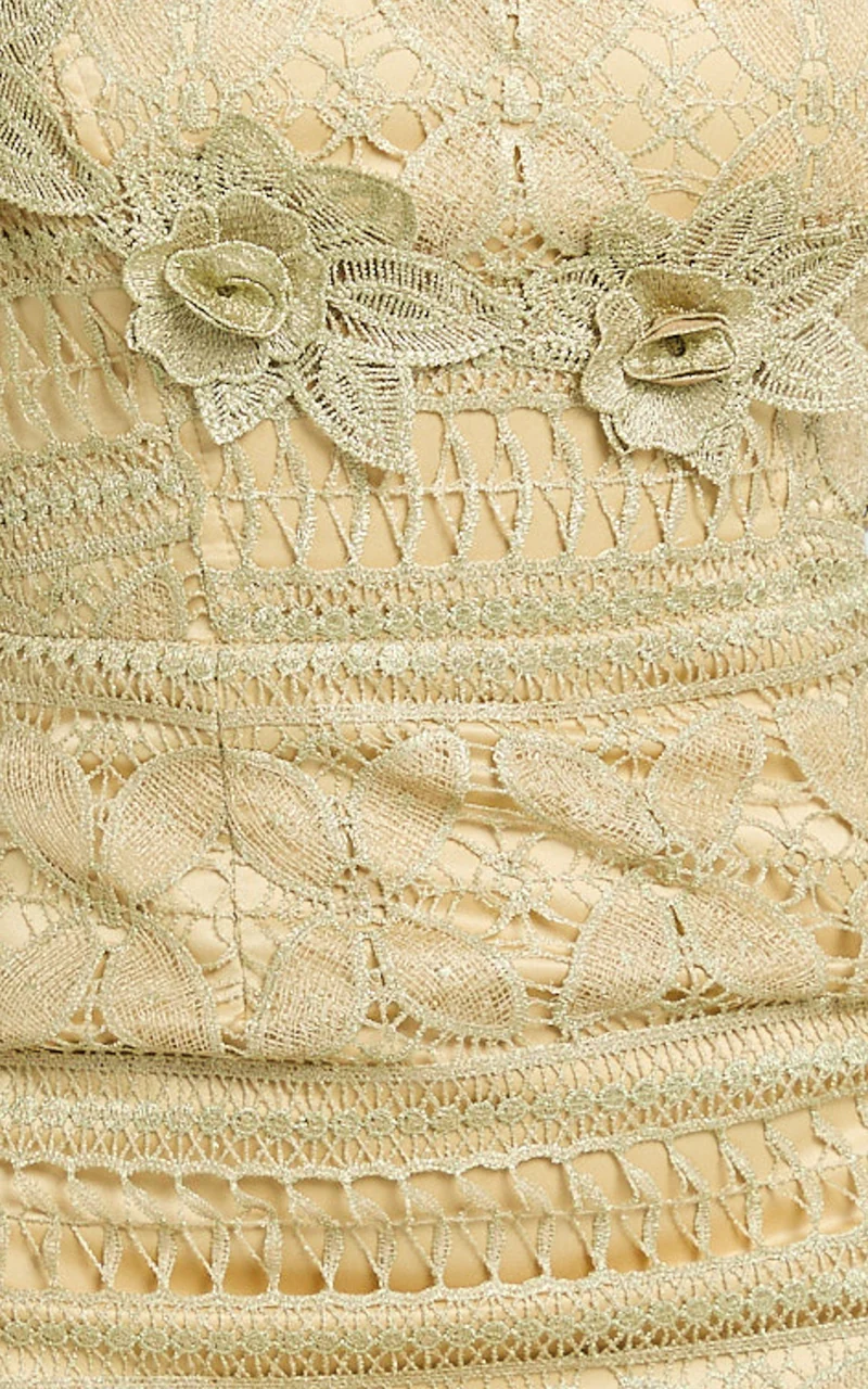 Jagger Mini Dress - Lace Scoop Neck Fitted Dress in Gold