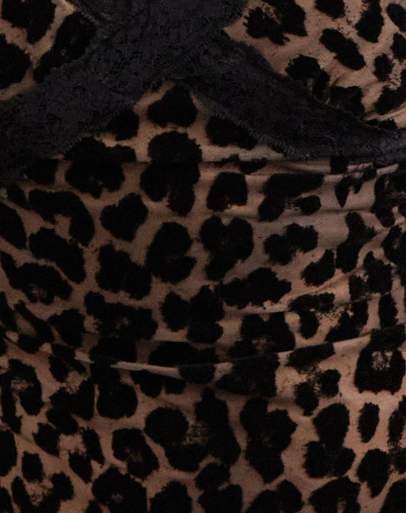 Top Alcesta en maille floquée Rar Leopard