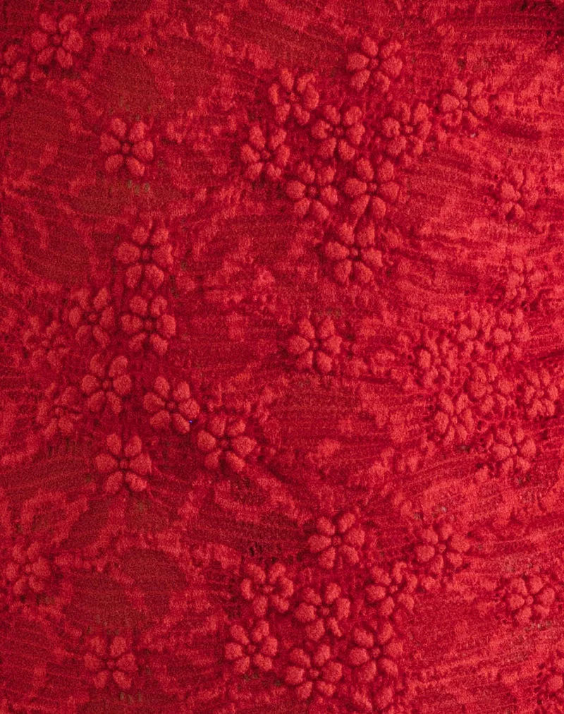Mini robe Ismene en dentelle non doublée rouge