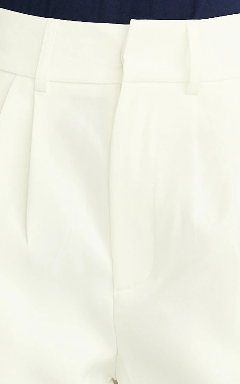 Melissa Pants - Pleat Front Wide Leg Tailored Pants in White
