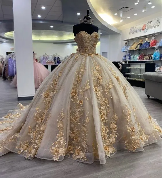 Robe de Quinceanera, robe de bal, robe de soirée, corset à appliques, dos nu