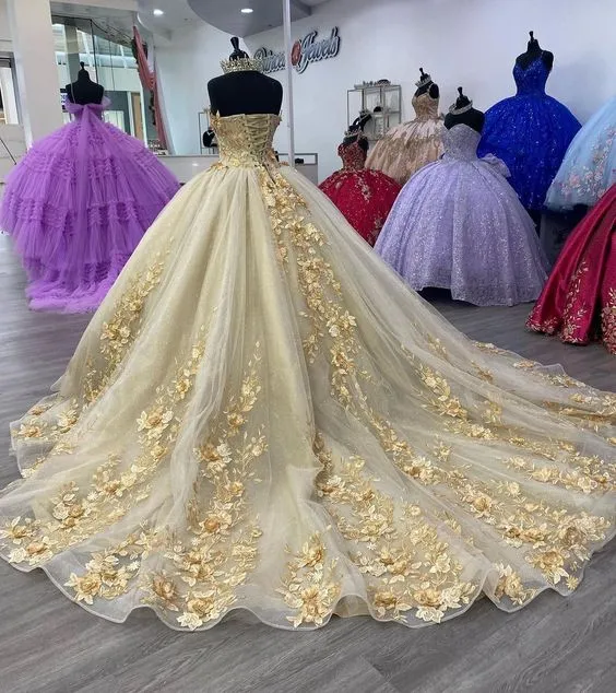 Robe de Quinceanera, robe de bal, robe de soirée, corset à appliques, dos nu