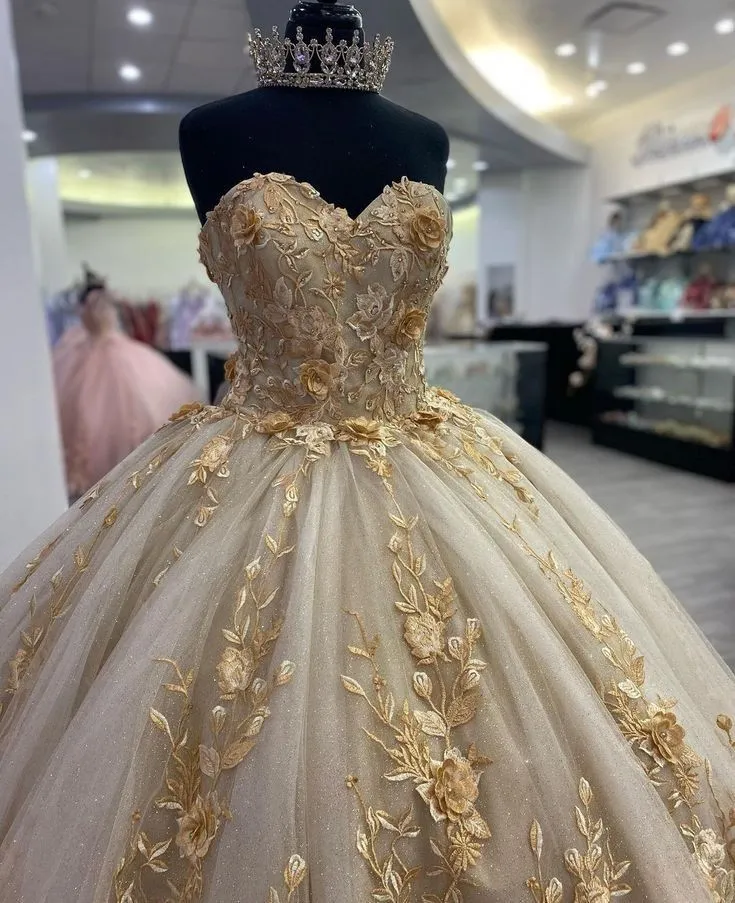 Robe de Quinceanera, robe de bal, robe de soirée, corset à appliques, dos nu