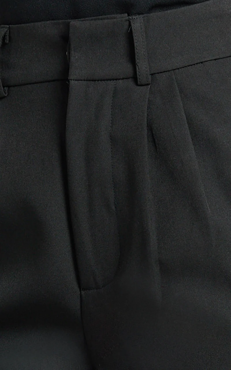 Melissa Pants - Pleat Front Wide Leg Tailored Pants in Black