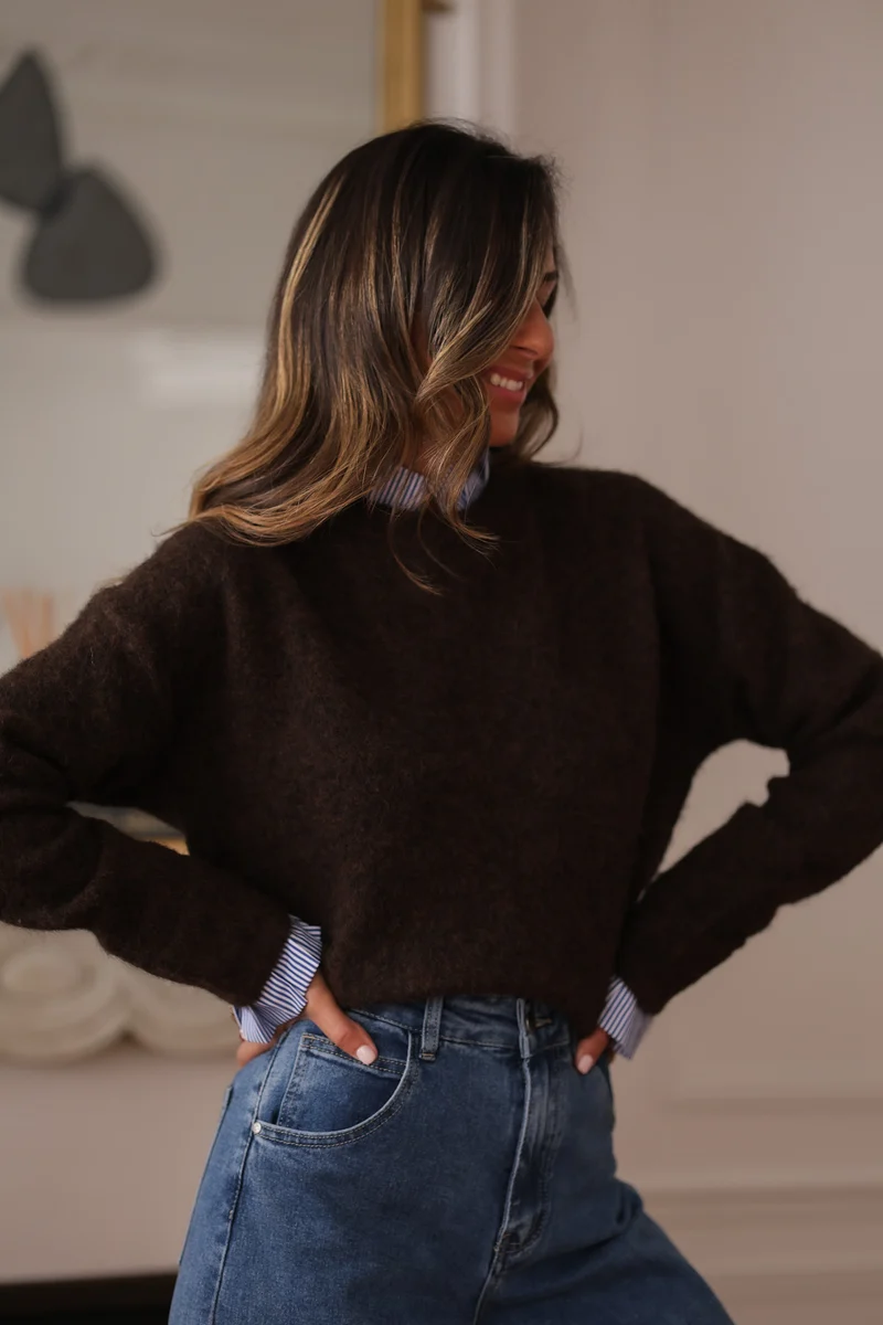 Pull Gaspard marron