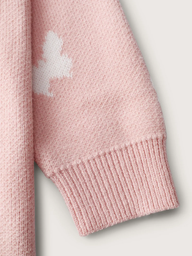 Butterfly Jacquard Pattern Ribbed Hem Pullover
