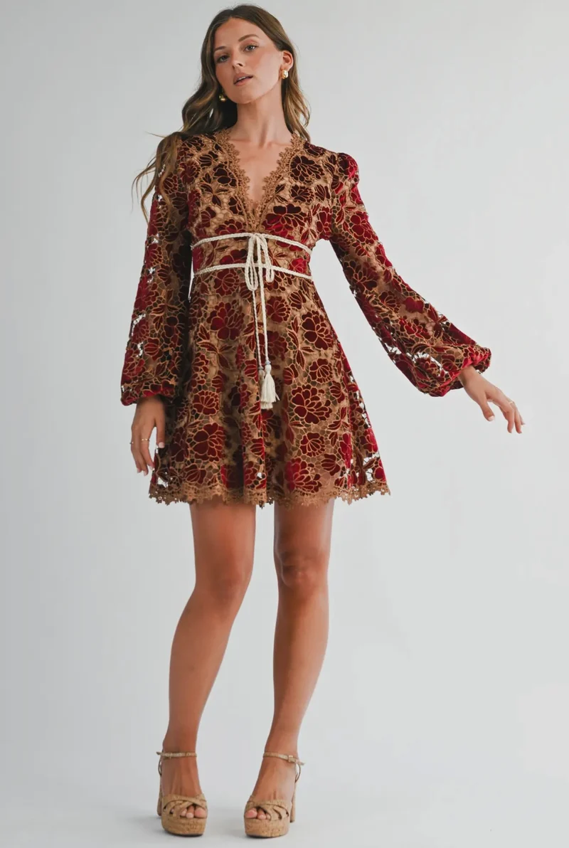 VELVET EMBROIDERED LACE DRESS