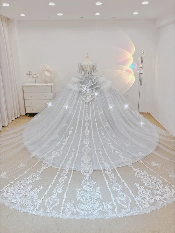Robe de mariée victorienne traditionnelle de la cathédrale de princesse bleu pâle de luxe
