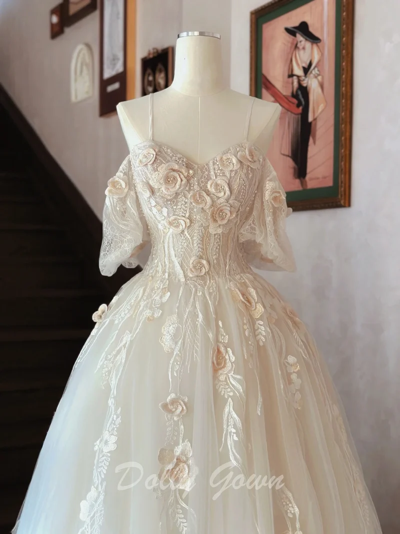 Robe de mariée champagne clair en tulle à épaules dénudées en dentelle exquise