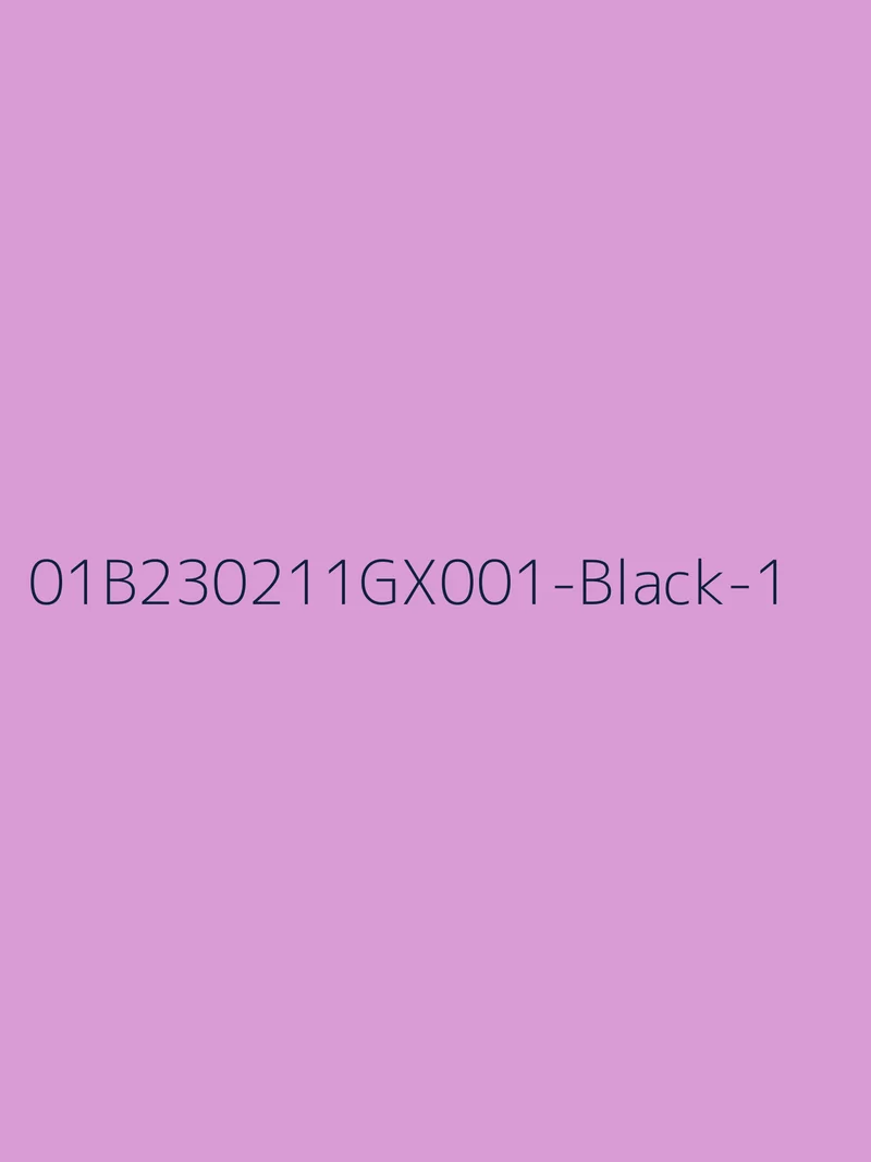 LBLSPU-01B230211GX0012