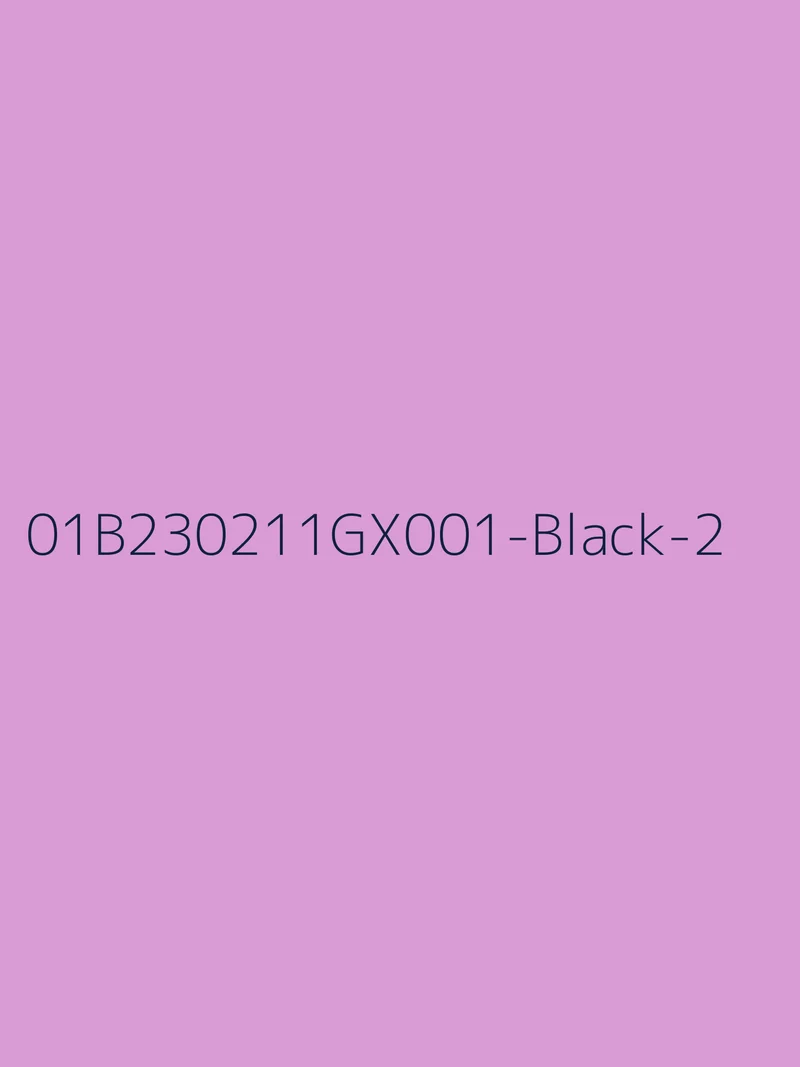 LBLSPU-01B230211GX0012