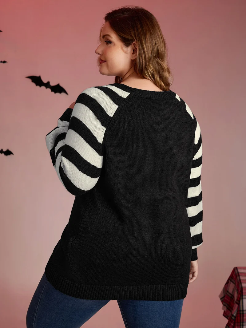 Hey Ghost Raglan Stripe Sleeve Pullover