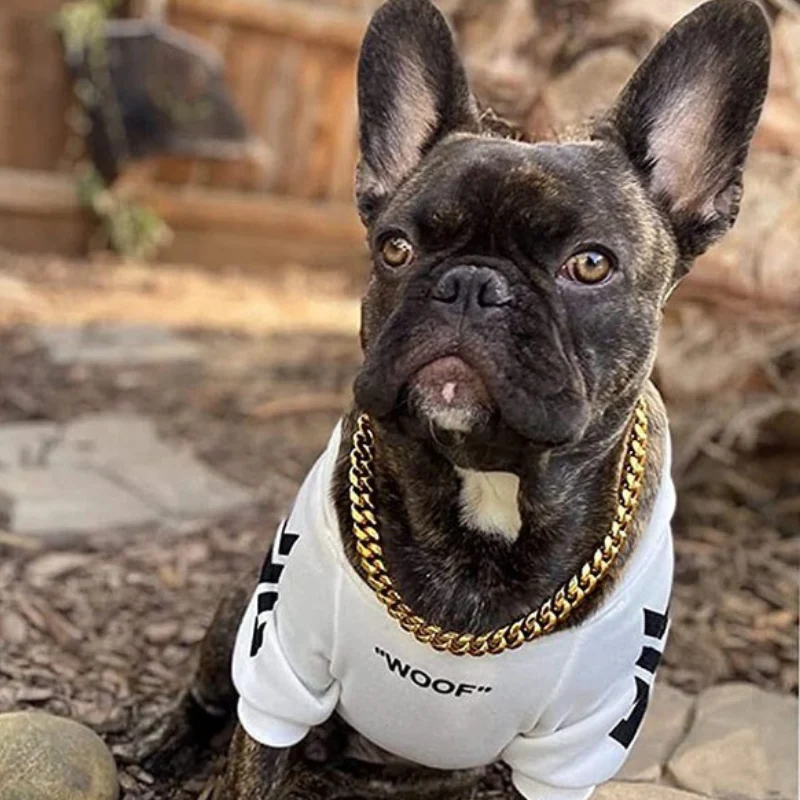 Collier à chaîne maille cubaine pour chien