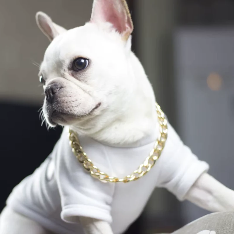 Collier à chaîne maille cubaine pour chien