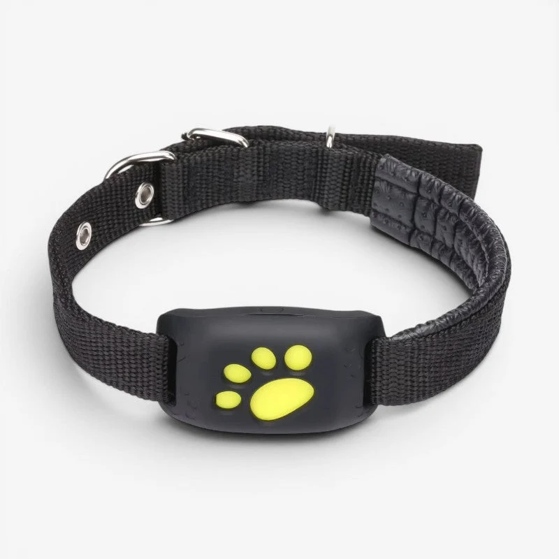 Traceur GPS pour Animaux de Compagnie au Design Compact