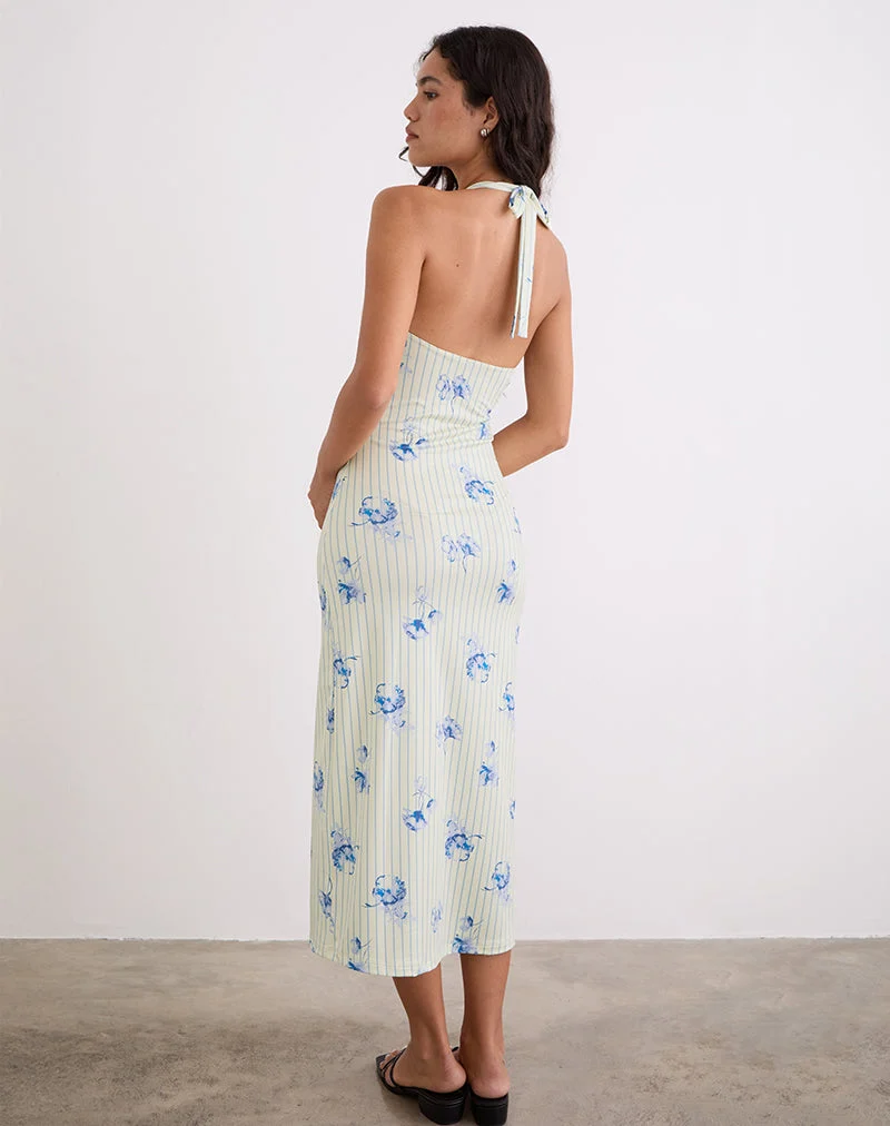 Fadwa Midi Dress in Floral Stripe Cream (robe midi à rayures florales)