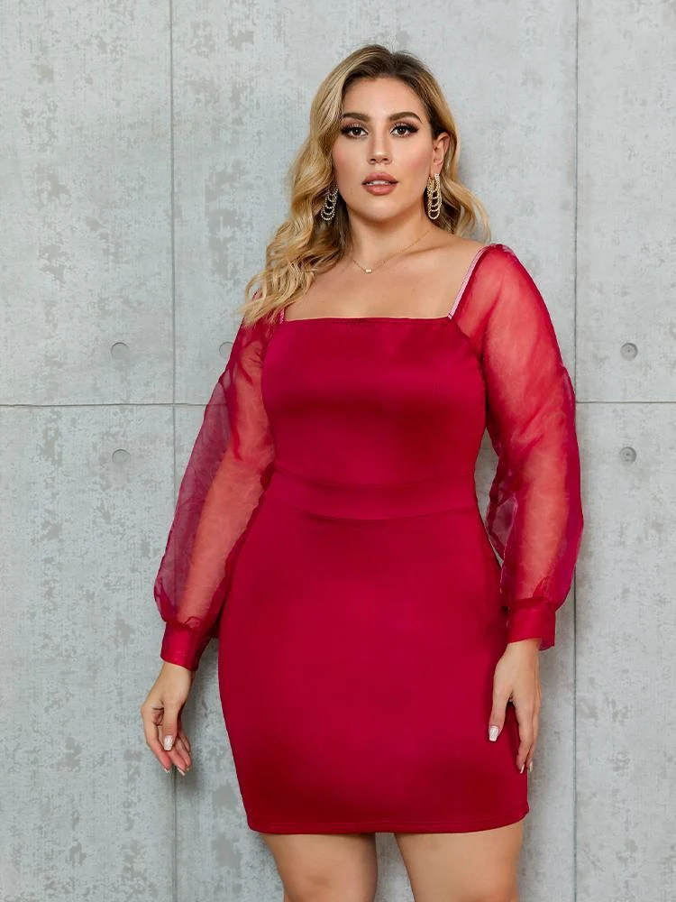 Mesh Lantern Sleeve Dress