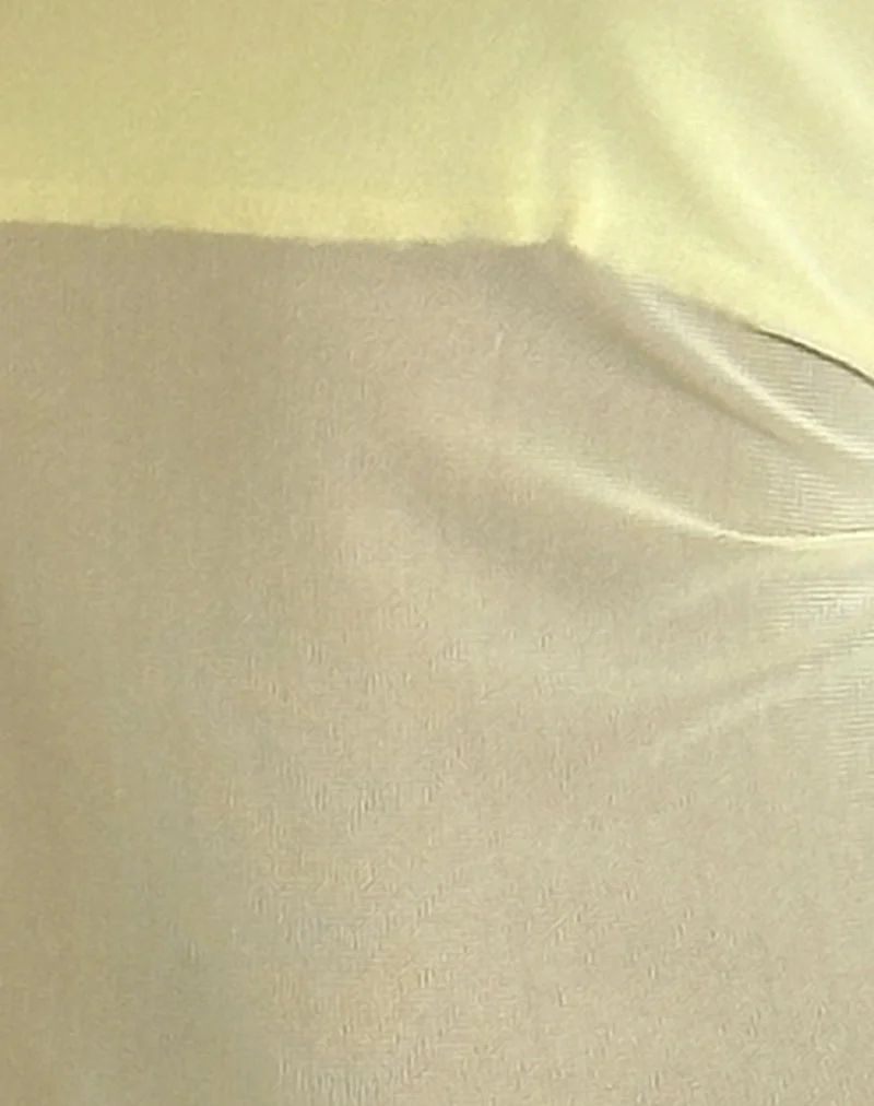 Arabella Halterneck Top in Mesh Lemon (Top dos nu en maille)