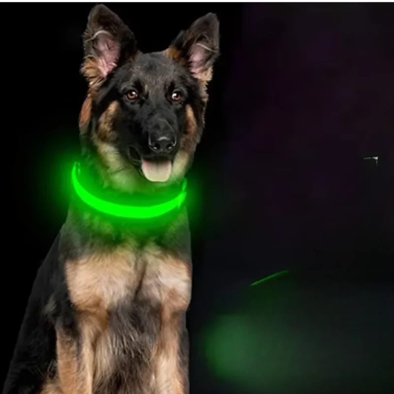 Collier LED rechargeable USB pour chien