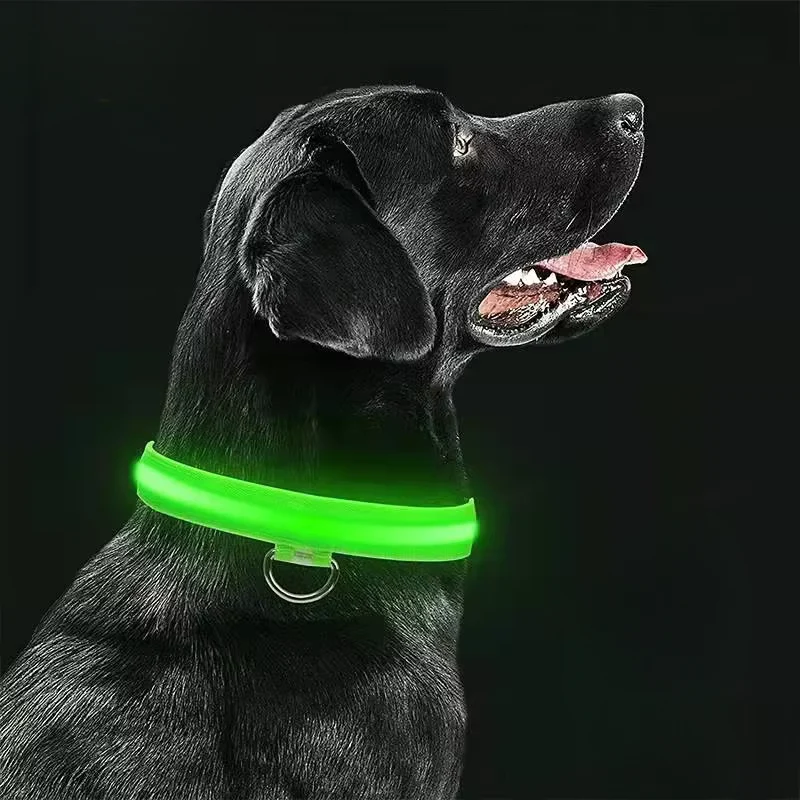Collier LED rechargeable USB pour chien