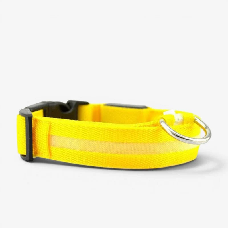 Collier LED rechargeable USB pour chien