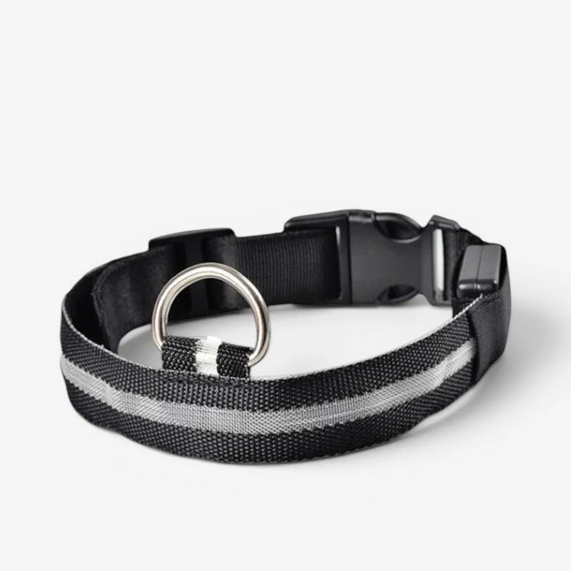 Collier LED rechargeable USB pour chien