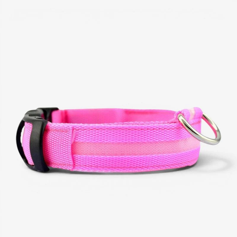 Collier LED rechargeable USB pour chien