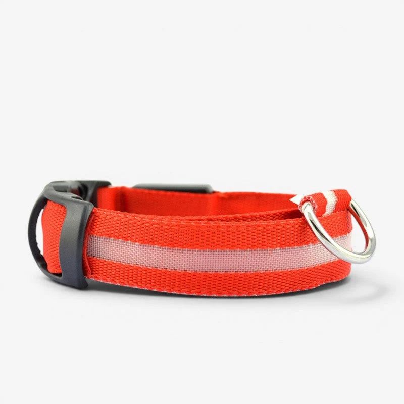 Collier LED rechargeable USB pour chien