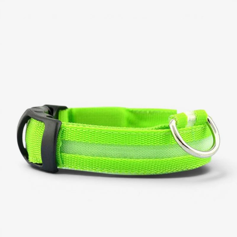 Collier LED rechargeable USB pour chien