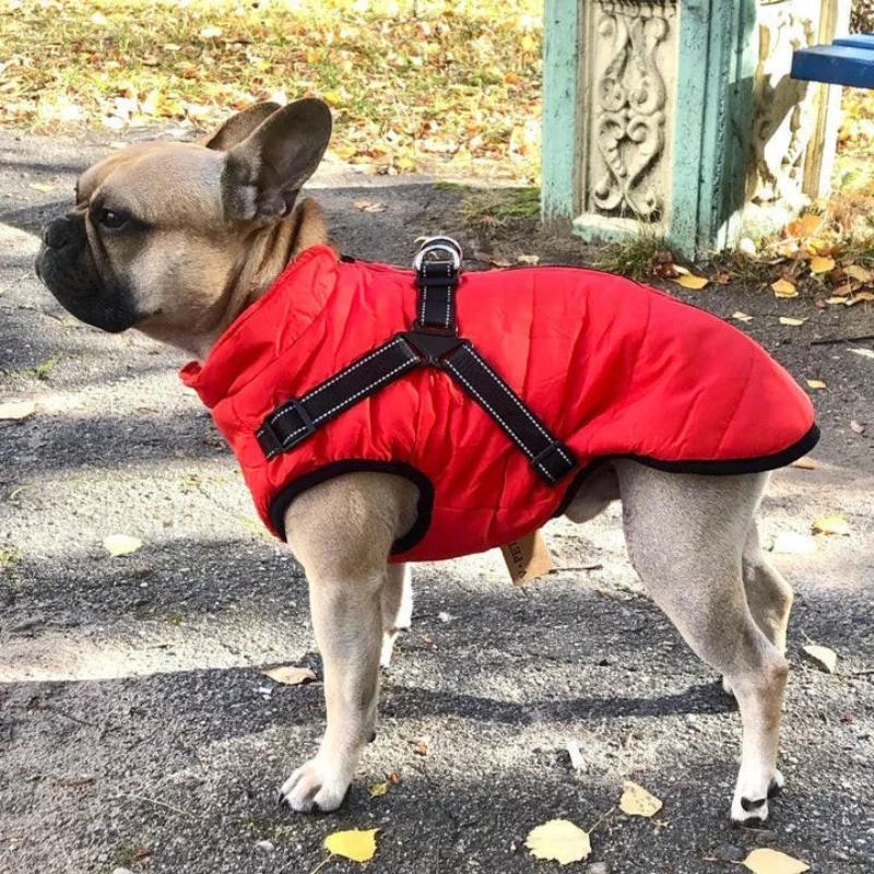 Veste pour chien avec boucles réglables