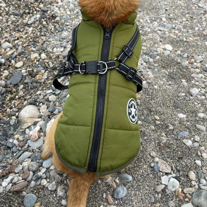 Veste pour chien avec boucles réglables