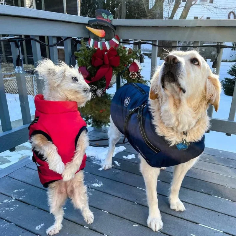 Veste pour chien avec boucles réglables