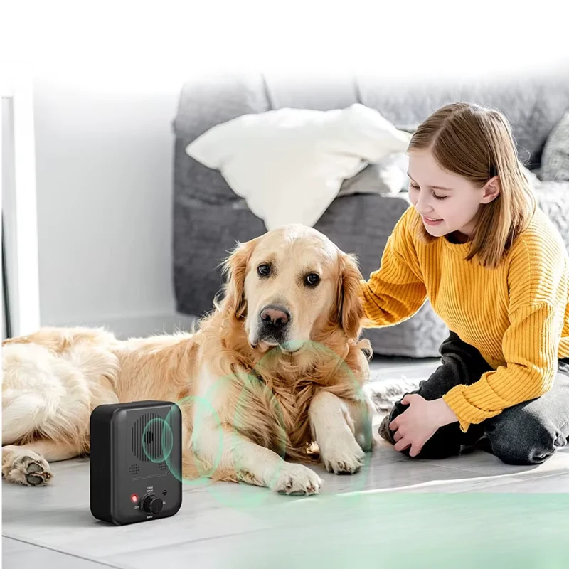 Appareil portable de dressage pour chien à ultrasons
