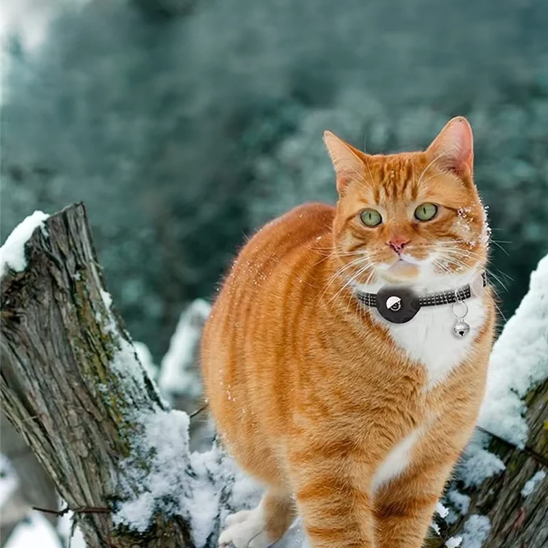 Collier pour animal de compagnie avec traceur intelligent