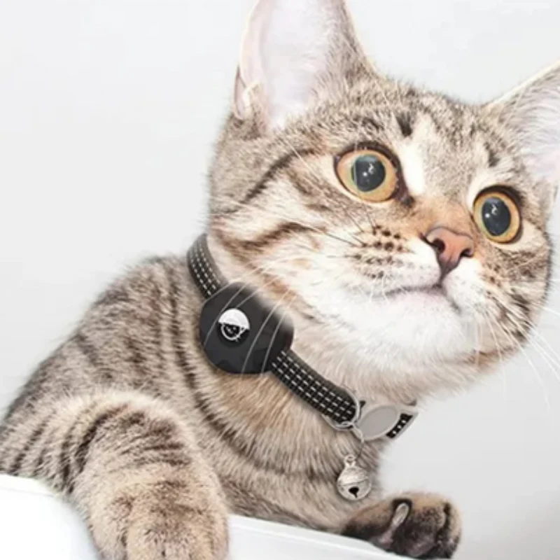Collier pour animal de compagnie avec traceur intelligent