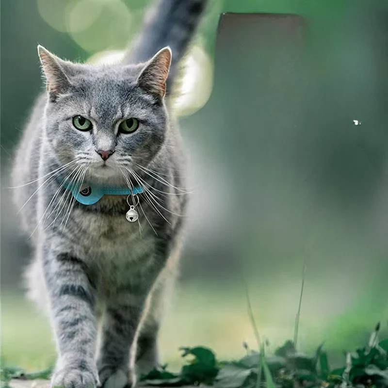 Collier pour animal de compagnie avec traceur intelligent
