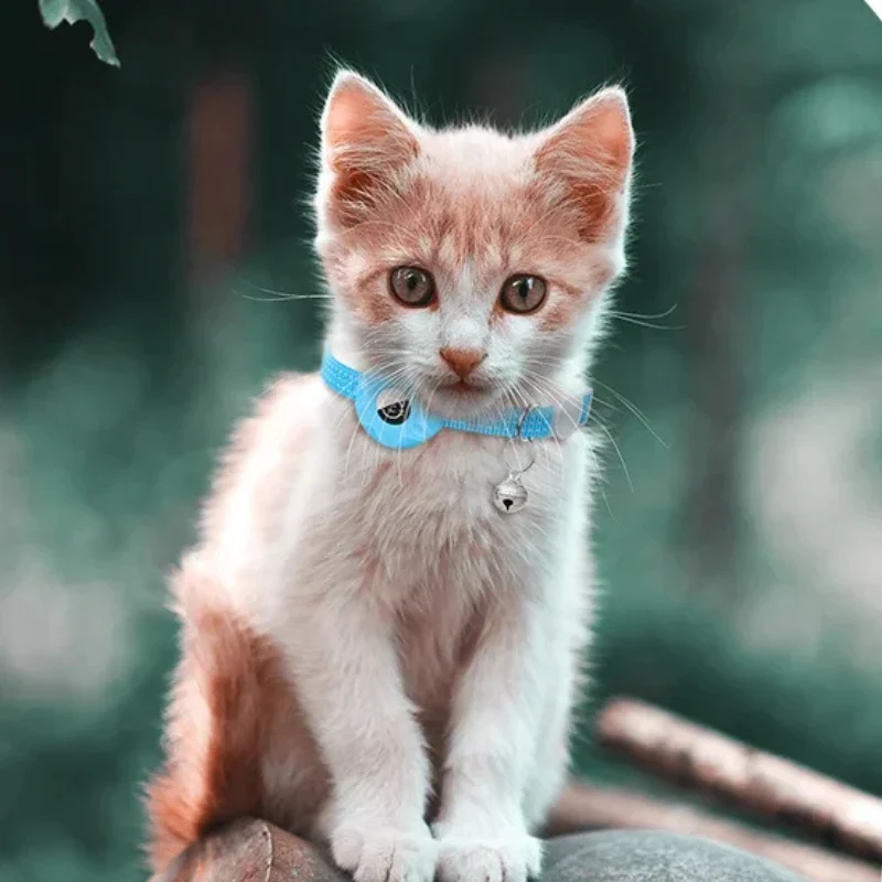 Collier pour animal de compagnie avec traceur intelligent