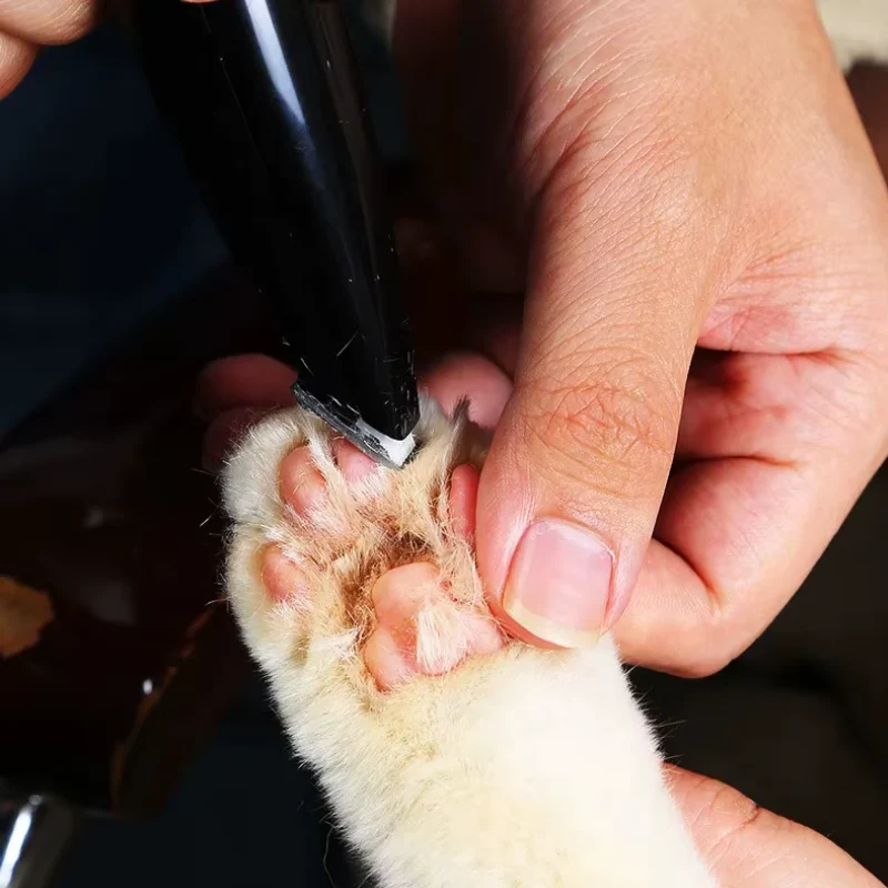 Tondeuse de Précision pour Animaux - Silencieuse