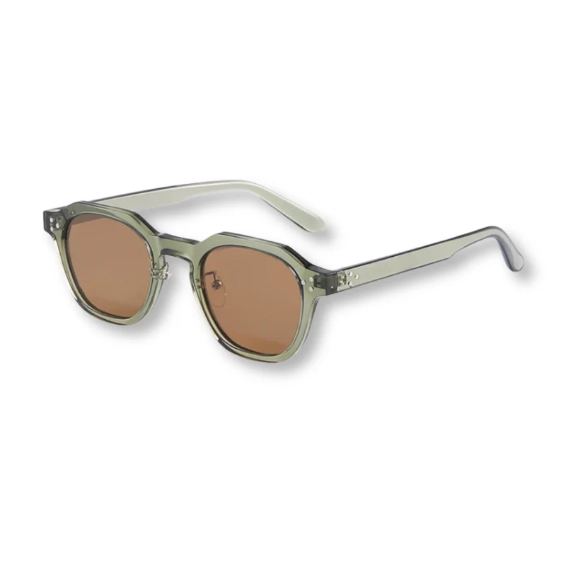 Lunettes de Soleil Polarisées Hexagonales avec Monture en Acétate et Double Pont