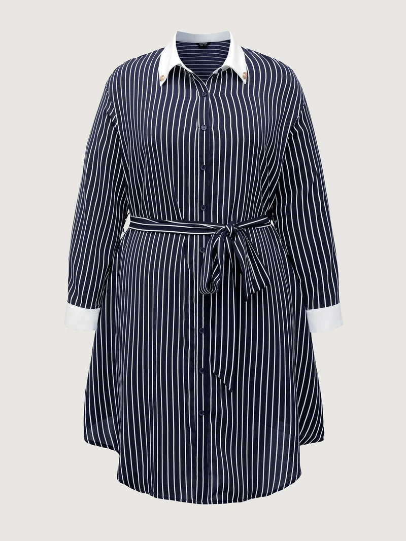 Stripe Print Belted Metal Detail Midi Dress