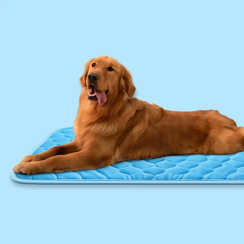 Self-Cooling Dog Mat | Non-Toxic Gel-Free Design for Portable Heat Relief