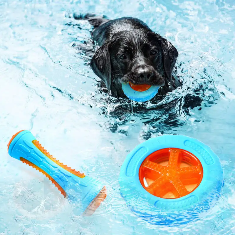 Interactive Dog Toy | Tough Floating Chew Toy with Built-in Squeaker | Durable Fun for Water Play