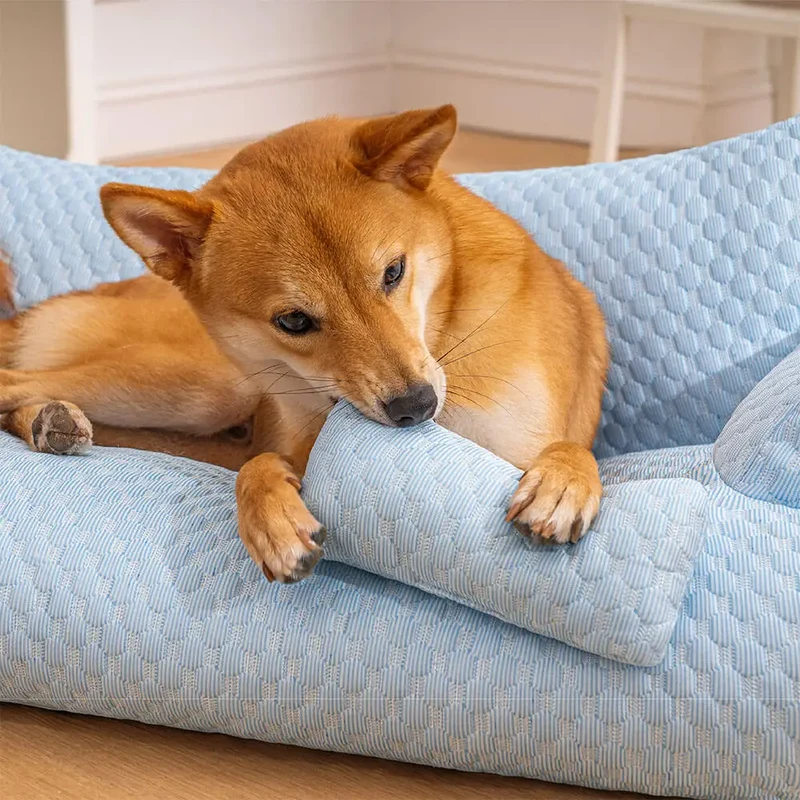 Cooling Pet Bed | Ice Silk Dog Bed with Plush Padding | Breathable Design for Ultimate Comfort