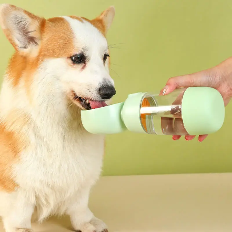 Portable Dog Water Bottle with Food Container for Walks Travel Hiking